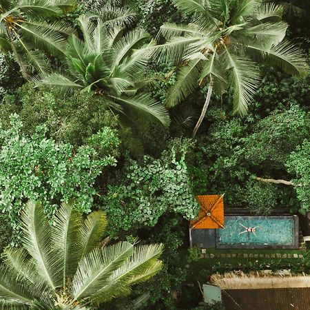 The Nest In Ubud, Bembengan Cottage Екстер'єр фото