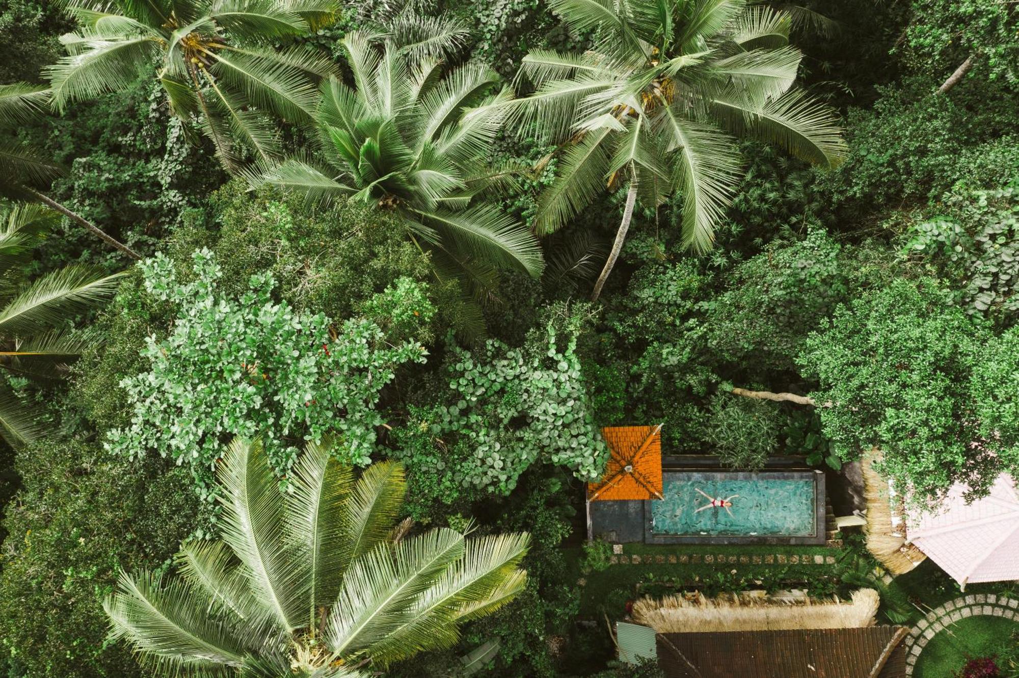 The Nest In Ubud, Bembengan Cottage Екстер'єр фото